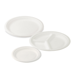 Taniere z cukrovej trstiny